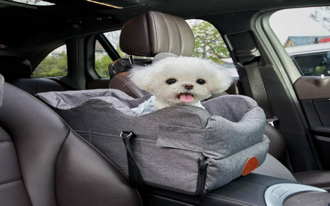 Top Car Puppy Names! Check Out This List for Your New Furry Companion!