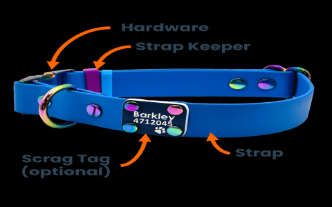 Shop Quick Release Collars for Dogs:  A Simple Guide to Find Quality!