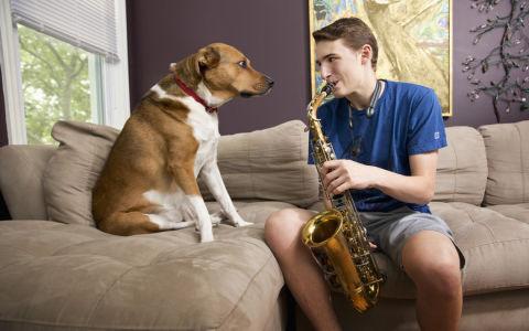 Musical Names for Dogs: Cool Ideas for Your New Pup!