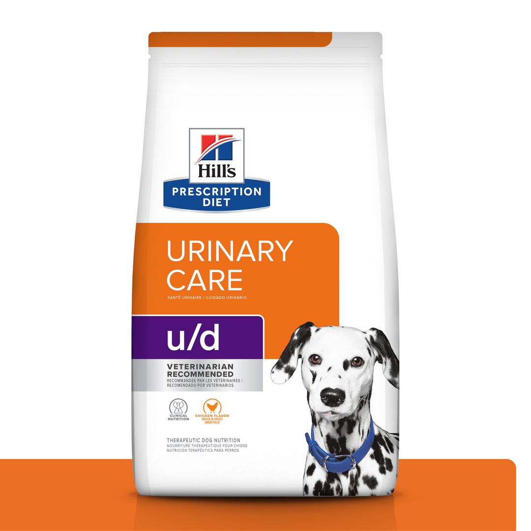 Urinary Care Dog Food Alternatives: Best Budget-Friendly Picks