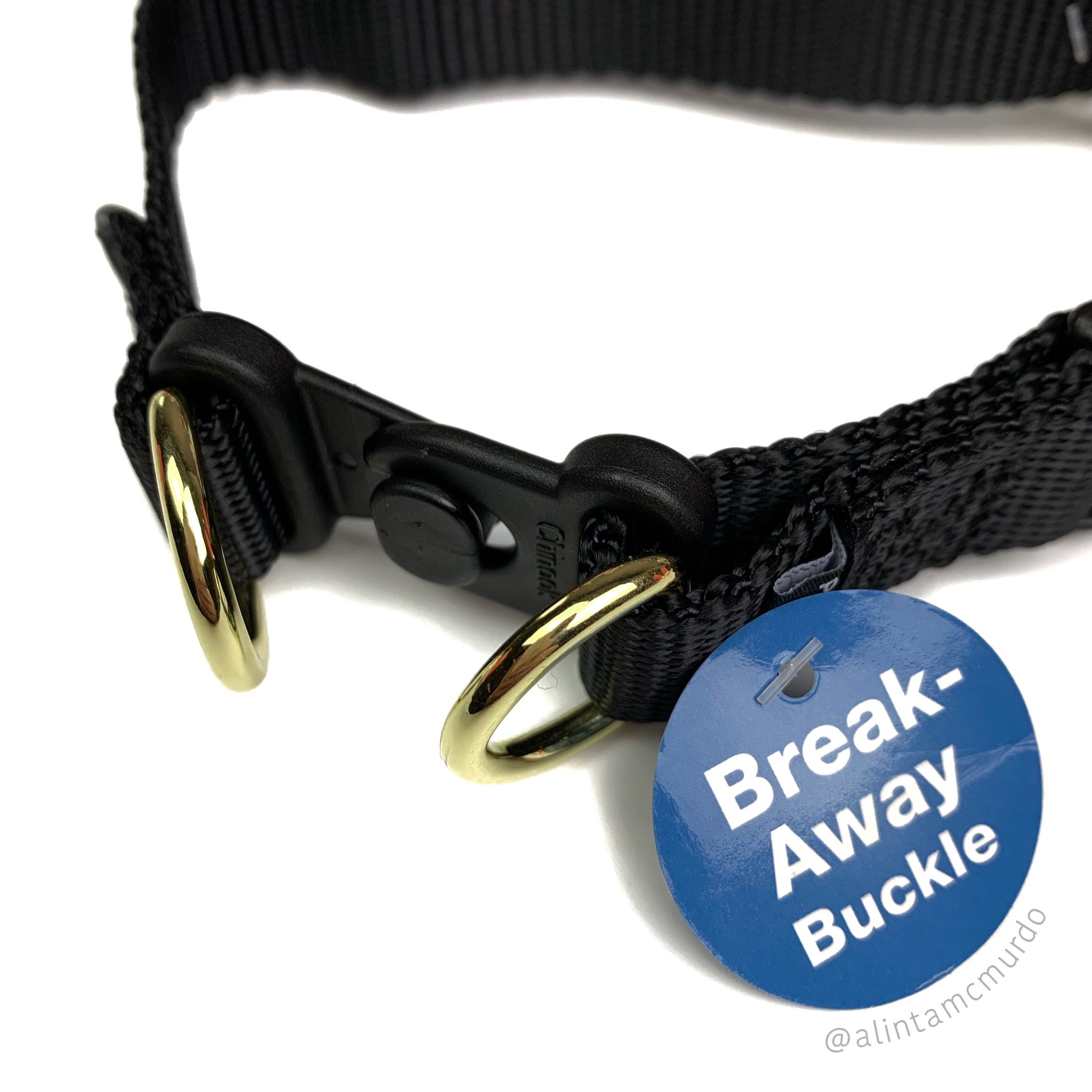 Break-away Collars for Dogs: Why You Need One (And How to Choose the Right One)