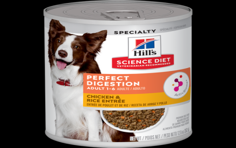 Exclusive Dog Food Reviews: Unbiased Ratings & Expert Advice