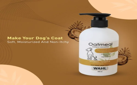 DIY Oatmeal Shampoo for Dogs: Easy, Natural Relief for Itchy Skin!