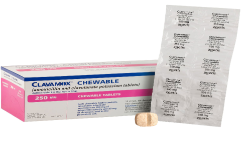 Clavamox for Dogs Dosage Chart: Simple Guide & What Vets Recommend!