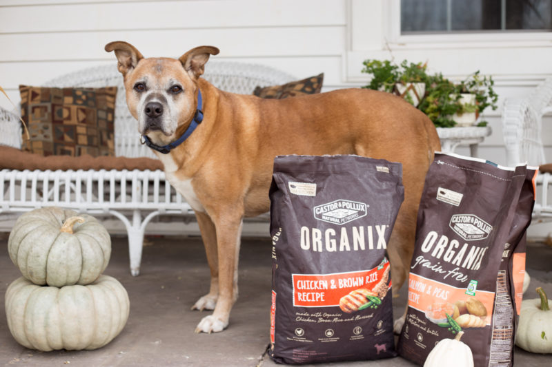 Organix Dry Dog Food: Is It Really Worth the Hype? (Reviews & Benefits)