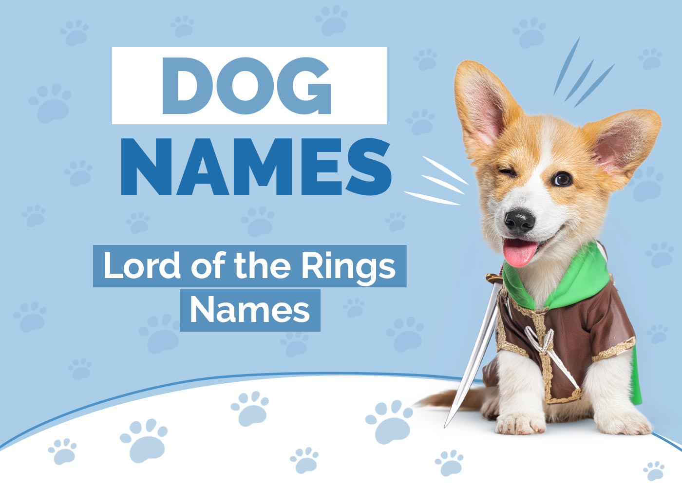 Lotr Names for Dogs: Cool Ideas & Inspiration for Your Pup!