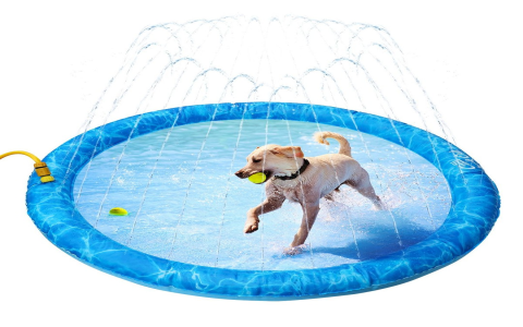 Find diving toys for dogs: Great water fun for every pup!