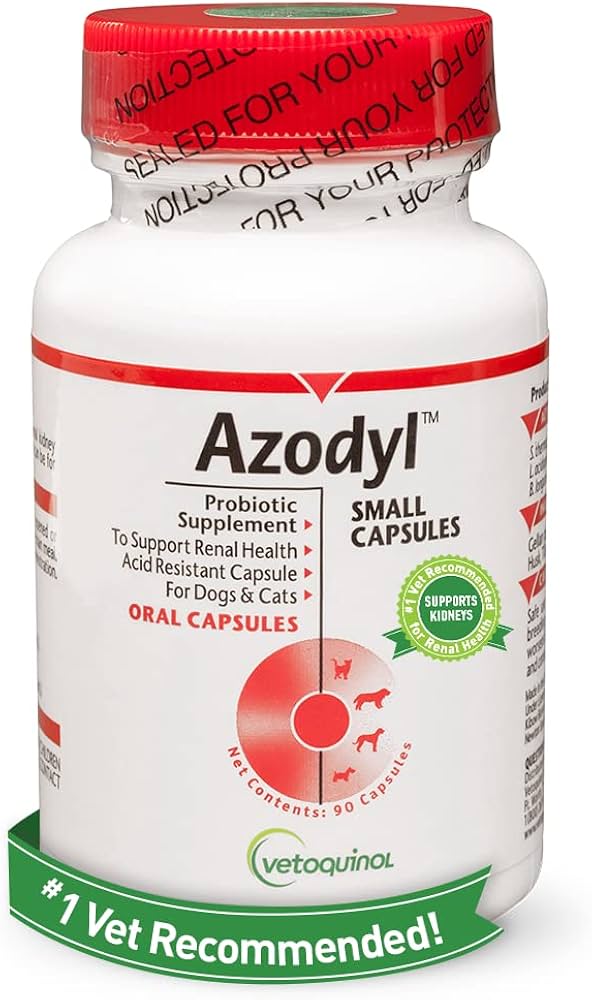 Azodyl Alternative for Dogs: Affordable Choices for Kidney Health