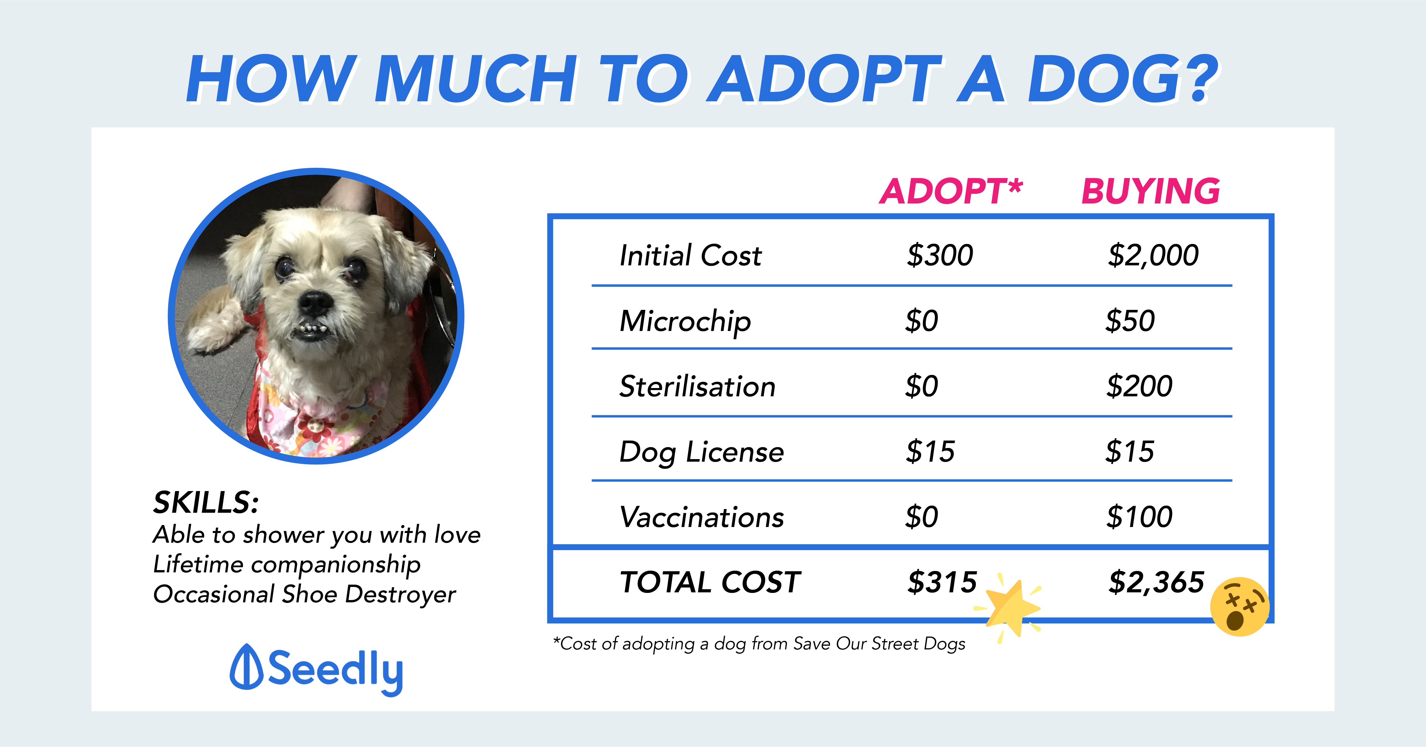 How Much Really Are Puppies Usually Initially? Budgeting Beyond the Adoption Fee.