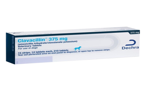 Dog Needs Amoxicillin/Clavulanate? Get It Without a Script.