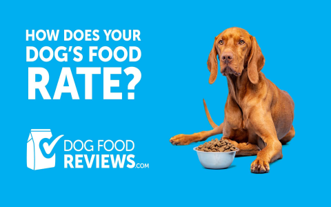 Unbiased Northwest Naturals Dog Food Reviews: The Good, the Bad, and the Tasty!