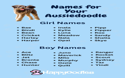 Unique Australian Names for Dogs: Inspiration Guide