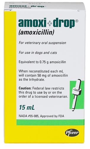 Amoxi Drop Dosage for Dogs: Simple Guide & Vet Tips!