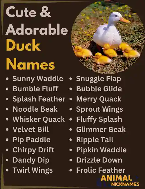 Cool Duck Dog Names: Awesome Ideas for Unique Pets!