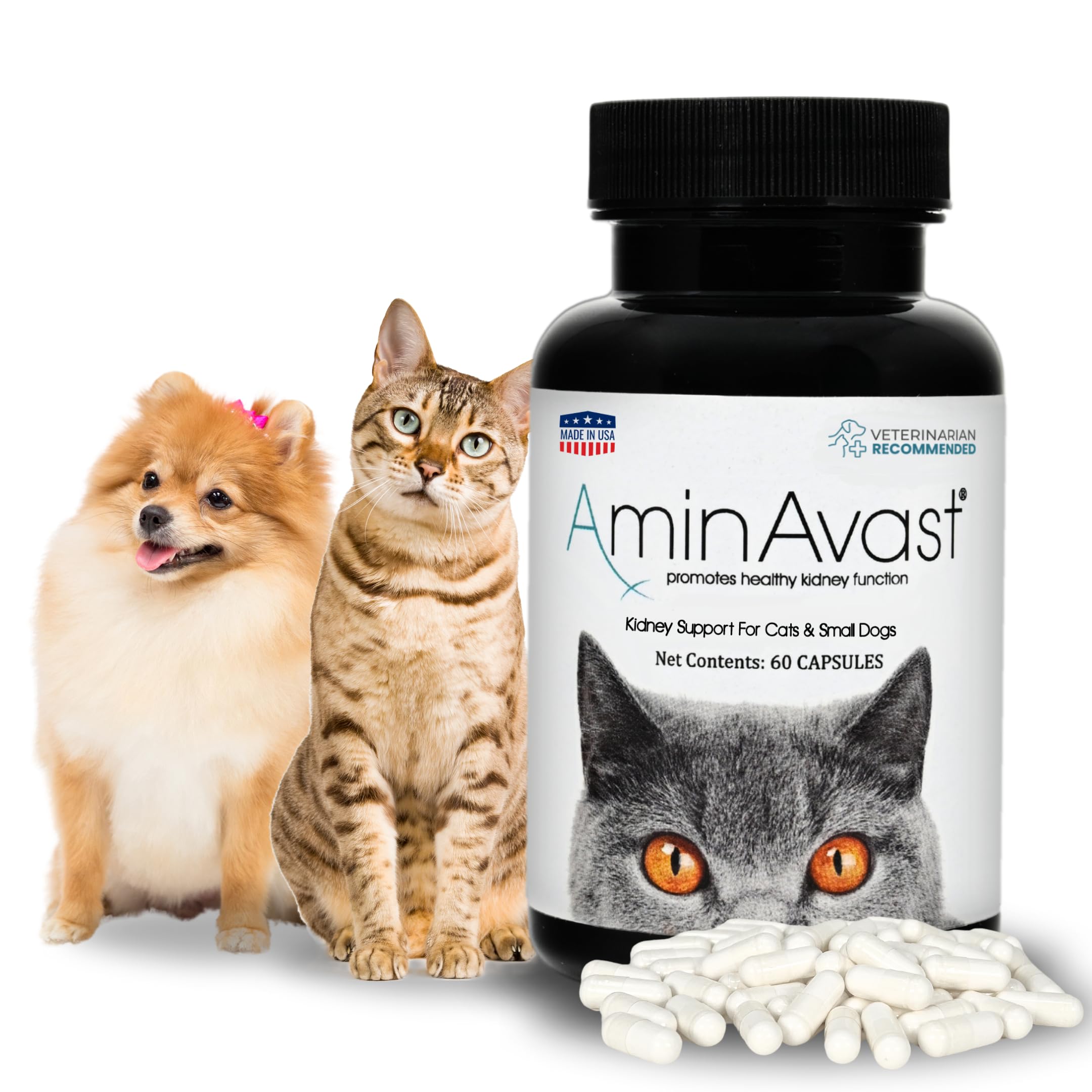 Is Aminavast for Dogs Safe? Benefits, Side Effects & Uses