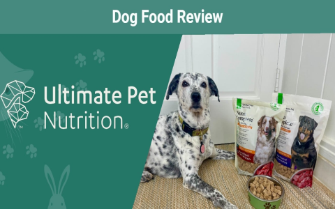 Small Batch Freeze Dried Dog Food Reviews: Top Picks!