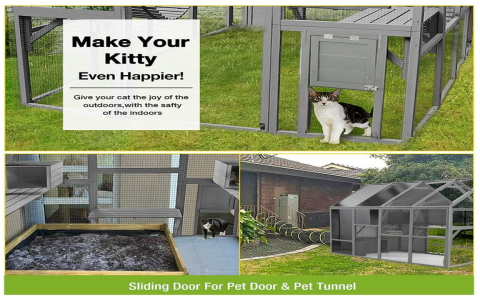 Dog Catios: Create a Safe & Fun Outdoor Space for Your Dog.