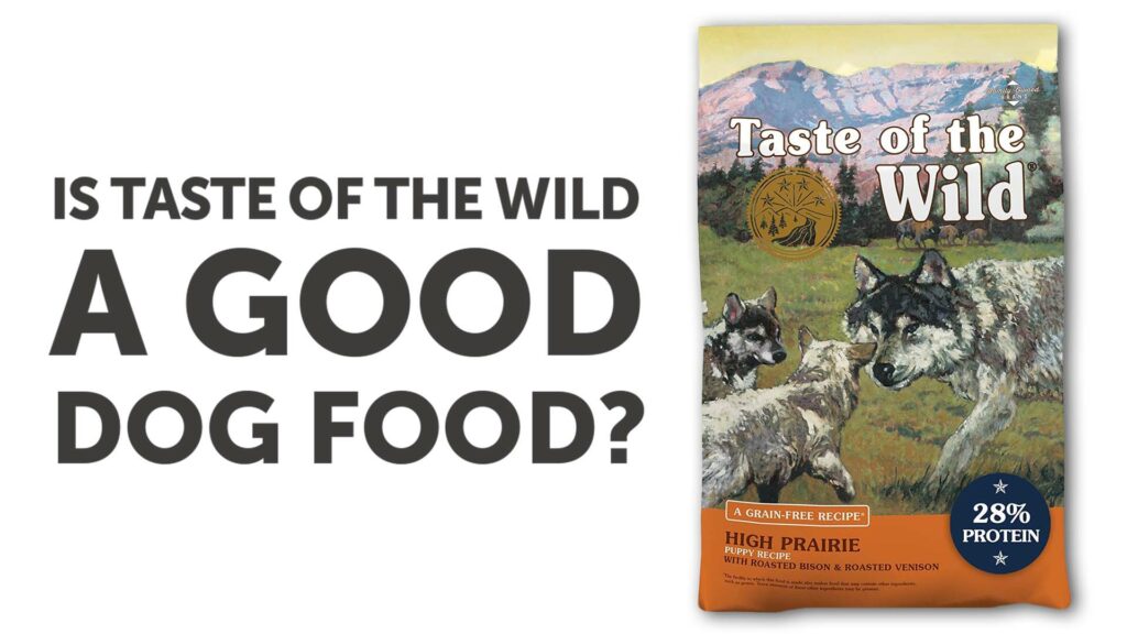 Taste of the Wild Dog Food Reviews: Is This Grain-Free Food Worth the Hype?