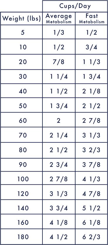 Feeding guide: Dog bland diet how much to feed per day