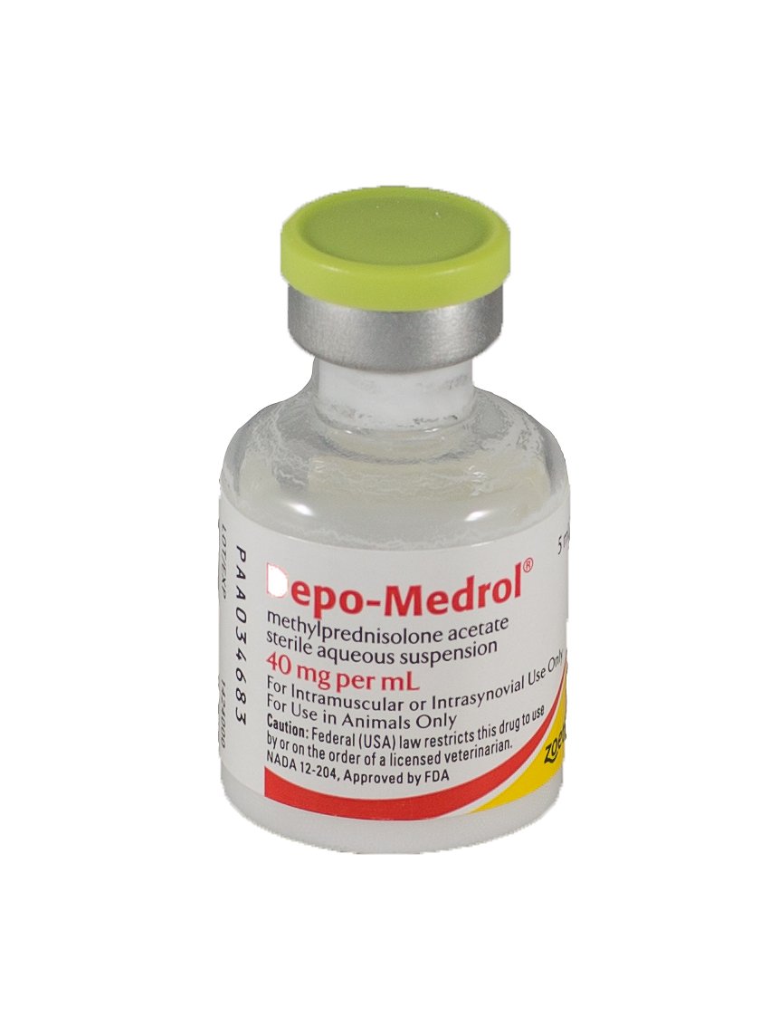 Depo Medrol Dosage for Dogs: Simple Vet Guide & FAQ!