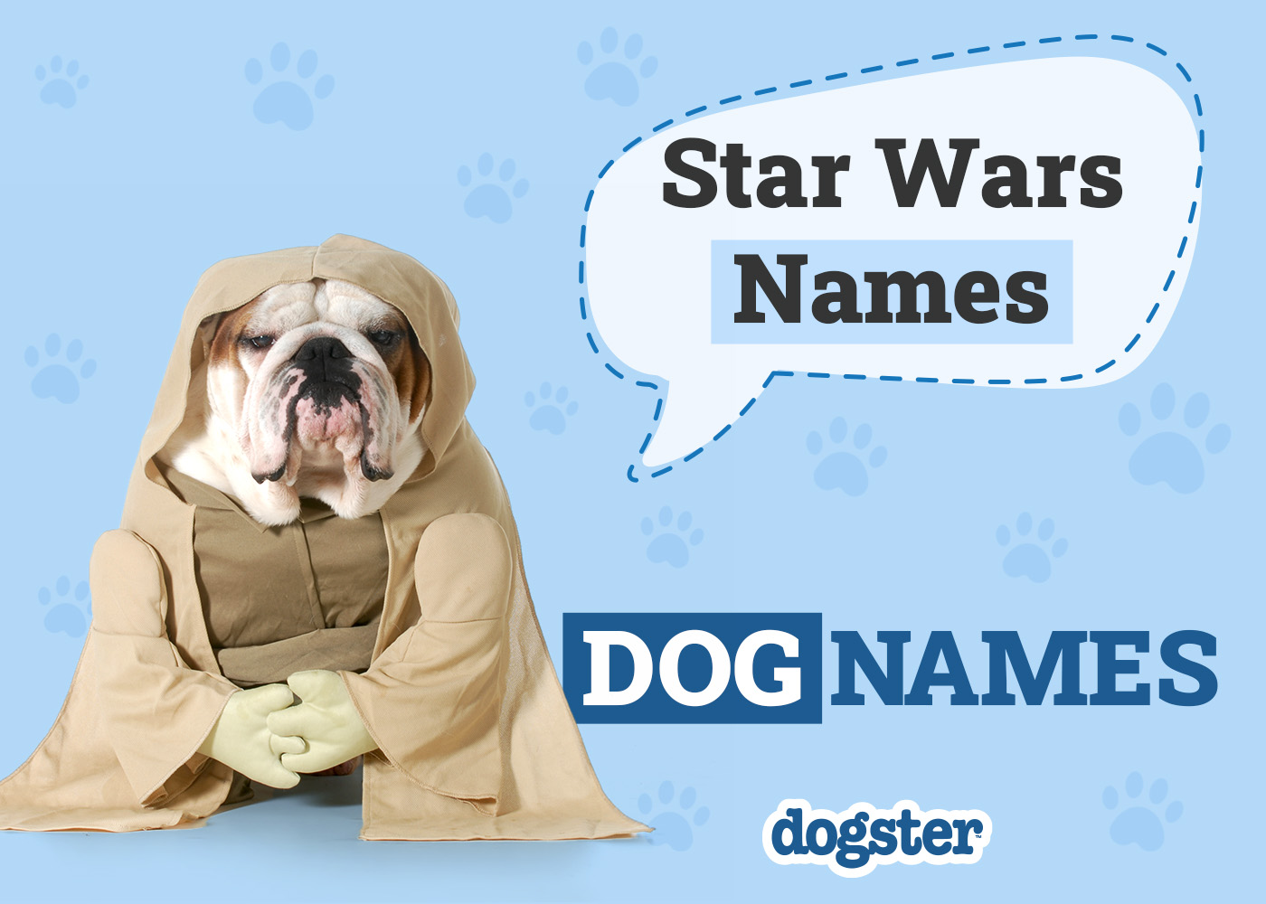 Choosing Star Wars Male Dog Names? Check This Out!