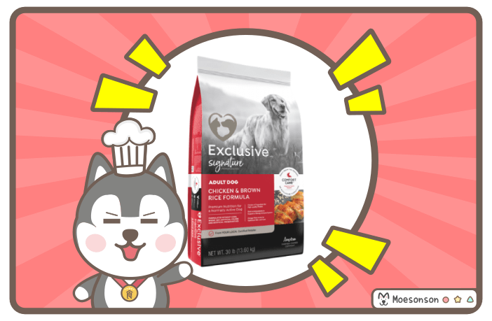 Exclusive Dog Food Reviews: Unbiased Ratings & Expert Advice