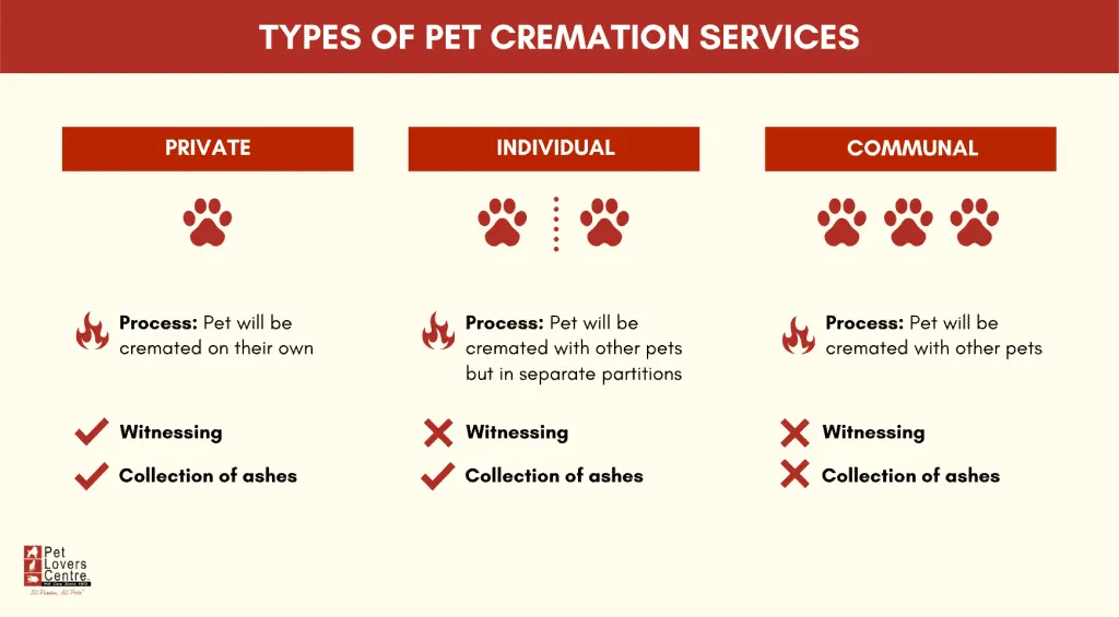 How Much Does it Cost to Get a Dog Cremated near me? (local price guide)