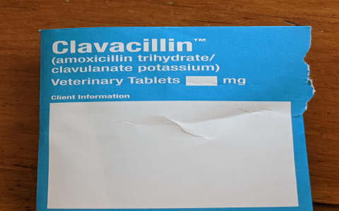 Clavacillin for dogs 125 mg: What is it used for?