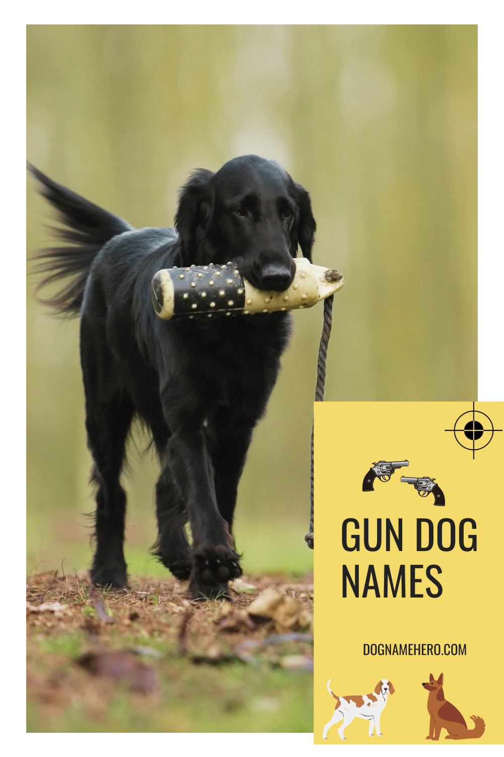 Best Gun Names for Dogs: Top Picks for Strong and Brave Breeds!