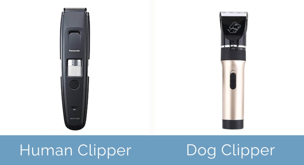 Human vs Dog Clippers: Whats the Real Difference? (Simple Guide)