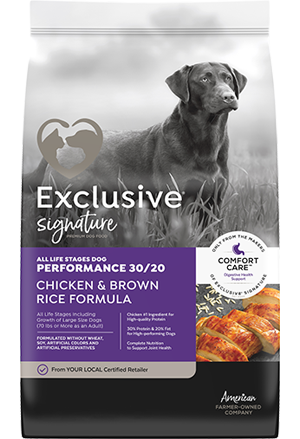 Exclusive Dog Food Reviews: Unbiased Ratings & Expert Advice