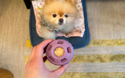 Dog Treat Toys Interactive - Make Playtime Super Easy!