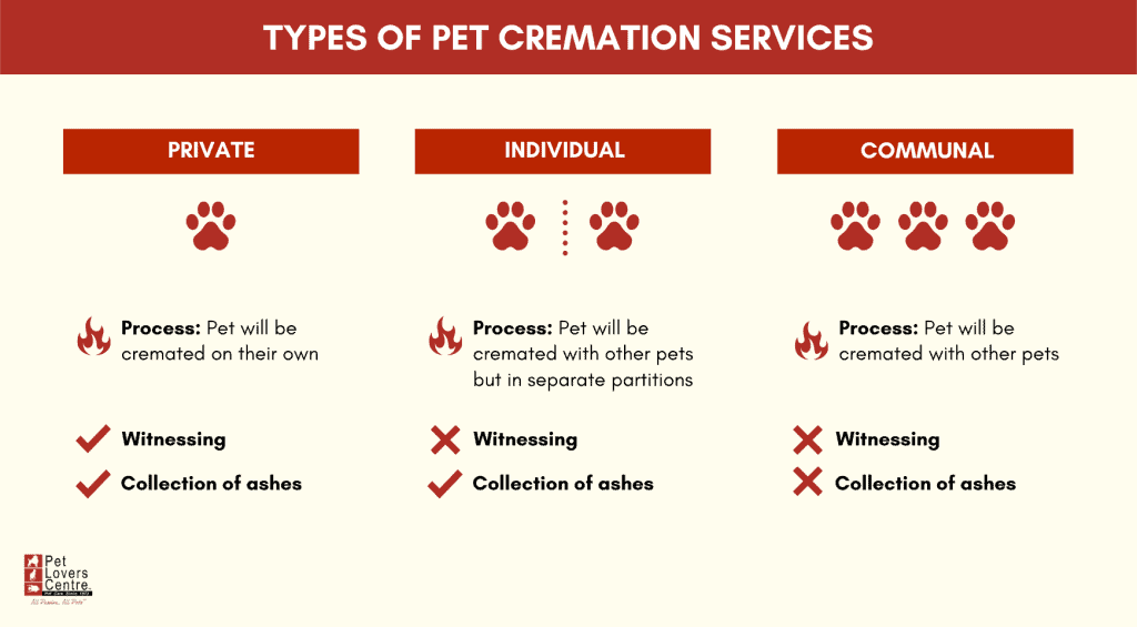 How much is a cremation for a dog? Price Breakdown & Options here.