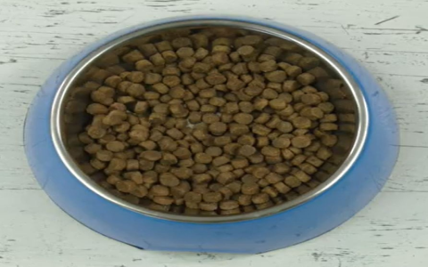 Gentle Giants Dog Food Review: Is It Really Worth the Hype?