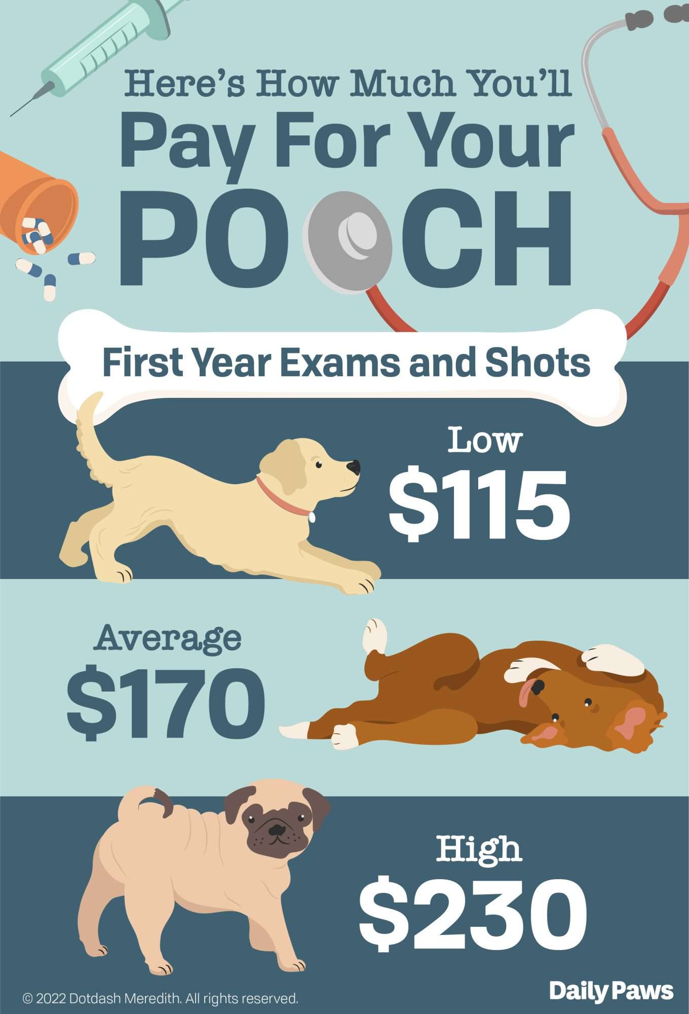 Bordetella Shot Cost for Dogs: Everything You Need to Know!