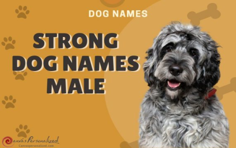 Dog Names from Literature: Find the Perfect, Unique Name!