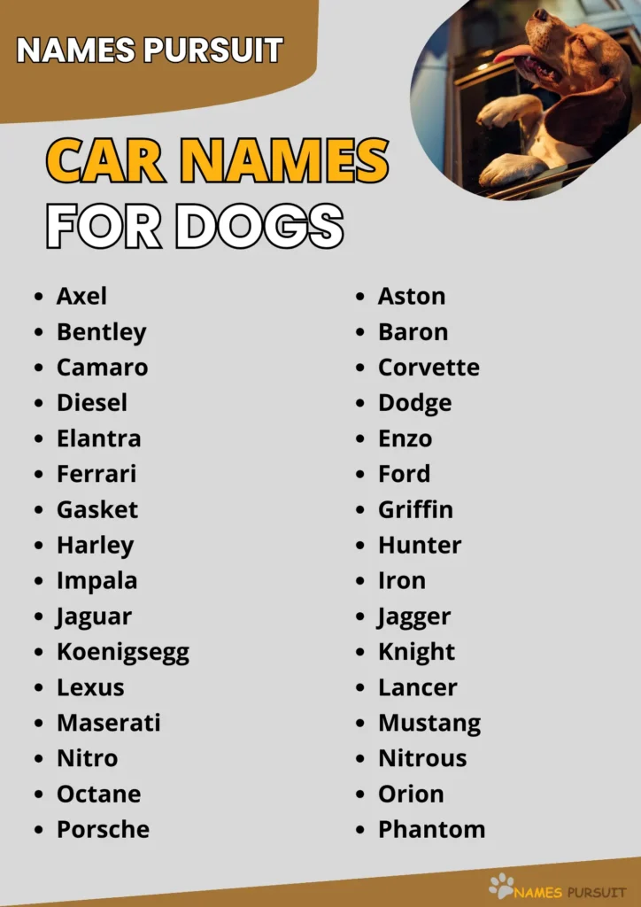 Best Dog Names Cars Inspired - Simple and Catchy Ideas for Your Dog!