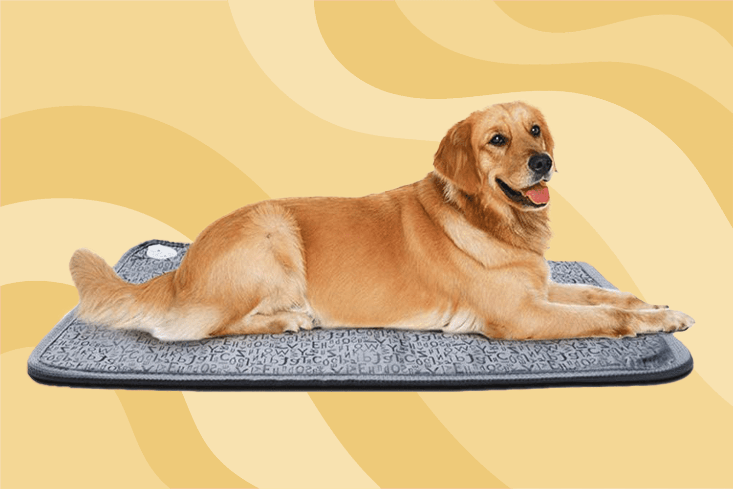 heated pad for dogs Review: Find the Perfect one