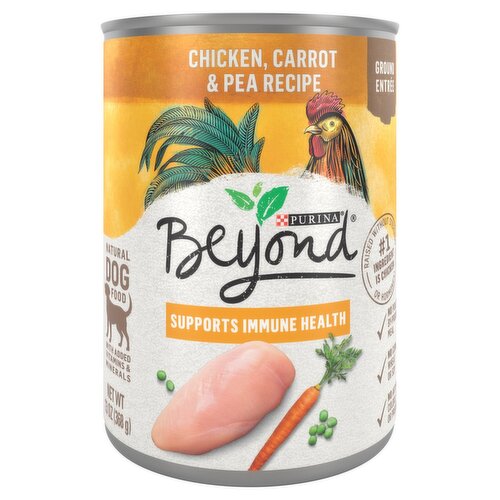 Beyond Can Dog Food Ingredients: A Simple Breakdown