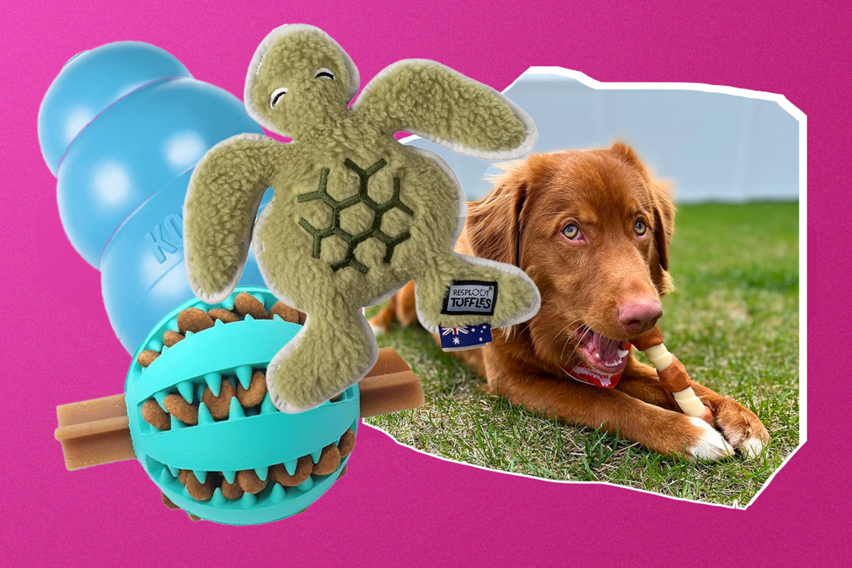 Get the Newest Dog Toys: Top Picks & Where to Buy