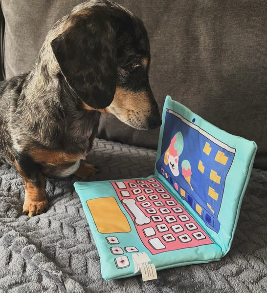 Keep Your Dog Busy: Check Out This Awesome Laptop Toy for Dogs.