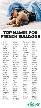 Girl Frenchie Dog Names: Popular & Unique Ideas Inside!