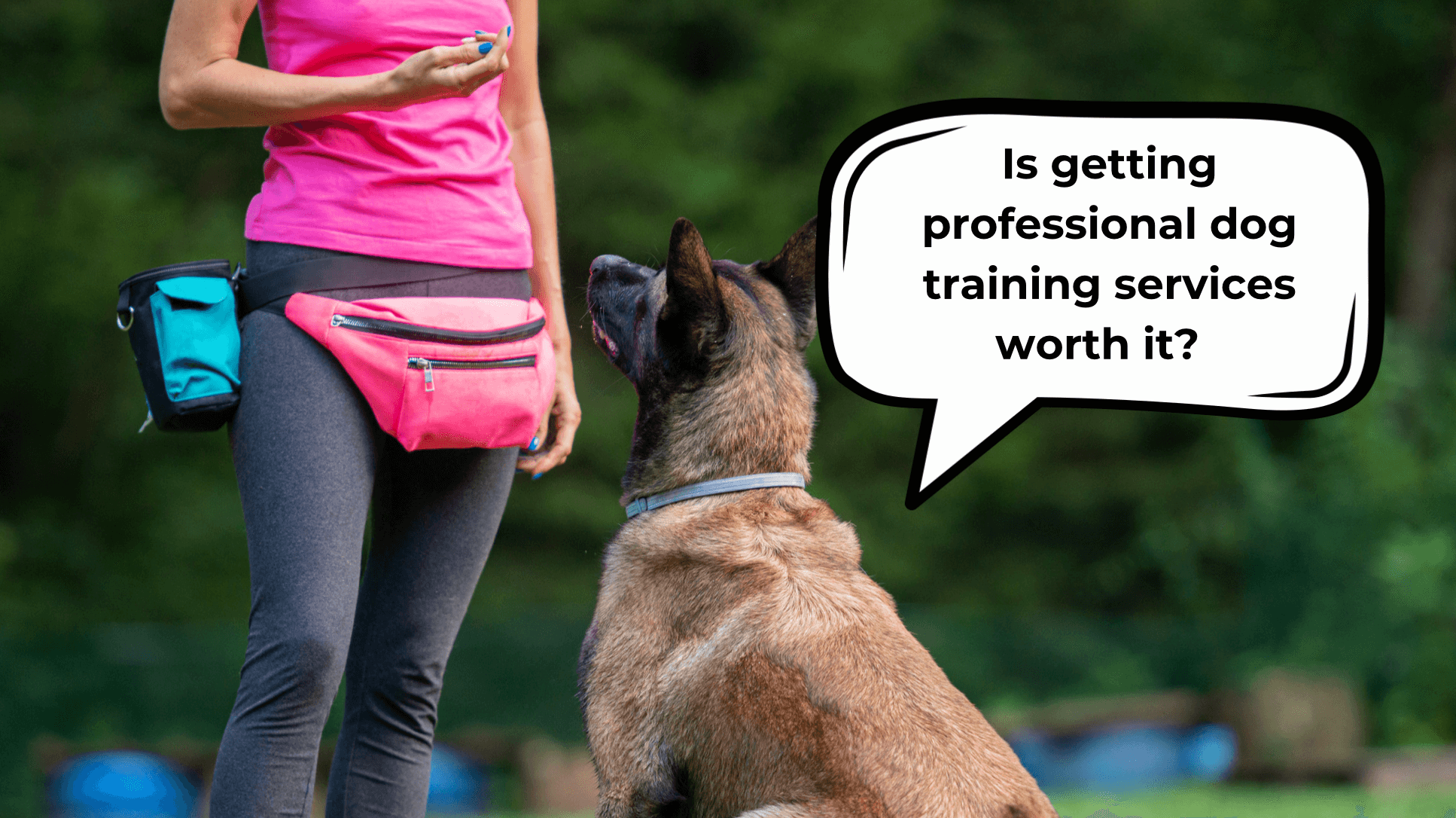 Dog Behaviorist Cost: Is It Worth the Investment?