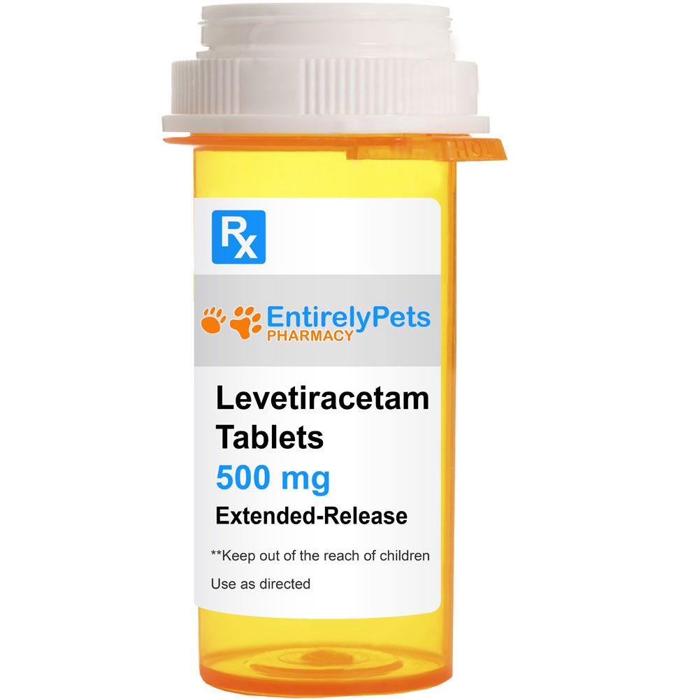 Using Levetiracetam Extended Release for Dogs: Benefits & Risks