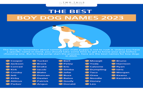 Girl Frenchie Dog Names: Popular & Unique Ideas Inside!