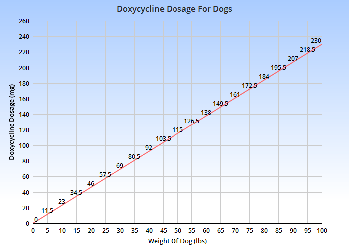 Doxycycline for Dogs: Use This Simple Dosage Chart Calculator PDF to Keep Your Pup Safe!