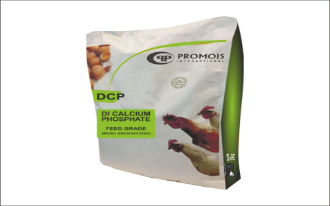 Best Dicalcium Phosphate for Dogs: Top Brands Reviewed