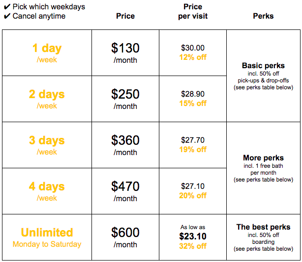 How Much Is Dog Daycare per Day, Week, or Month?