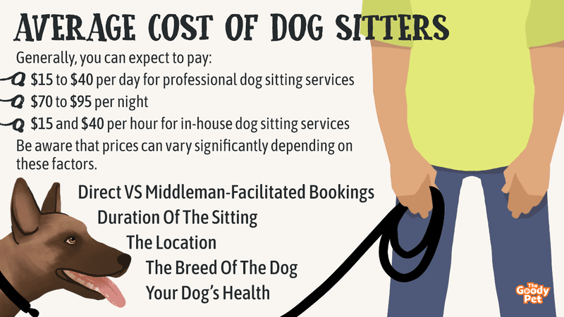 Whats the Cost of Overnight Dog Sitting? Find Out Here!