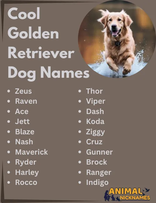 Best Golden Dog names and how to pick up a good name?